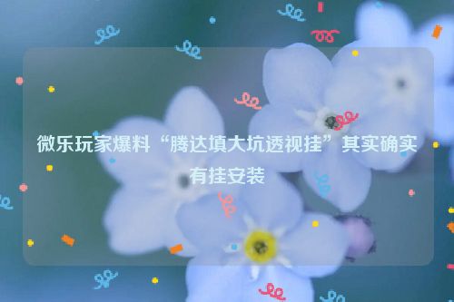 微乐玩家爆料“腾达填大坑透视挂”其实确实有挂安装