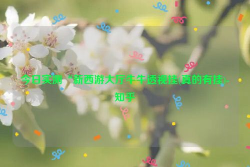 今日实测“新西游大厅牛牛透视挂(真的有挂)-知乎
