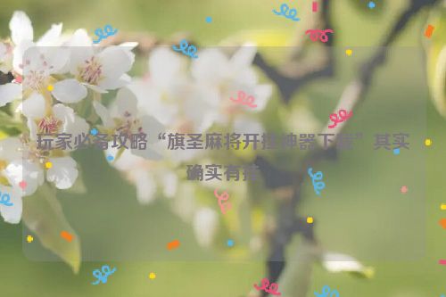玩家必备攻略“旗圣麻将开挂神器下载”其实确实有挂