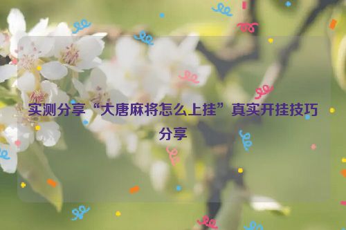 实测分享“大唐麻将怎么上挂”真实开挂技巧分享