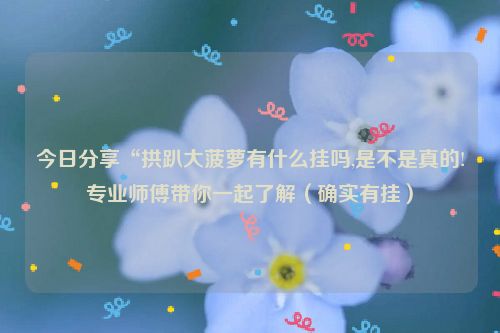 今日分享“拱趴大菠萝有什么挂吗,是不是真的!专业师傅带你一起了解（确实有挂）