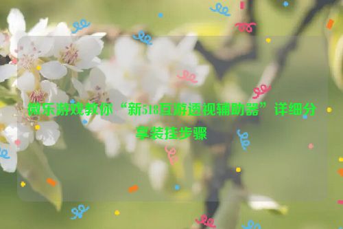 微乐游戏教你“新518互游透视辅助器”详细分享装挂步骤