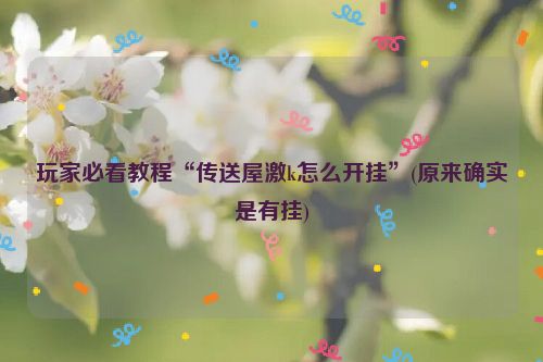 玩家必看教程“传送屋激k怎么开挂”(原来确实是有挂)