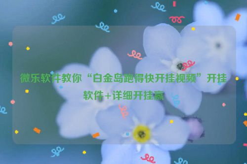 微乐软件教你“白金岛跑得快开挂视频”开挂软件+详细开挂赢