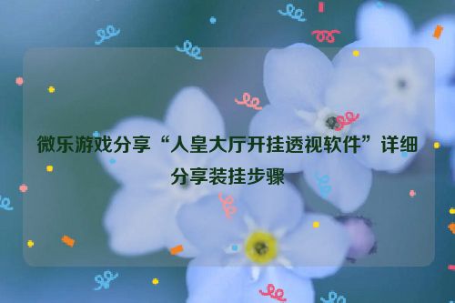 微乐游戏分享“人皇大厅开挂透视软件”详细分享装挂步骤