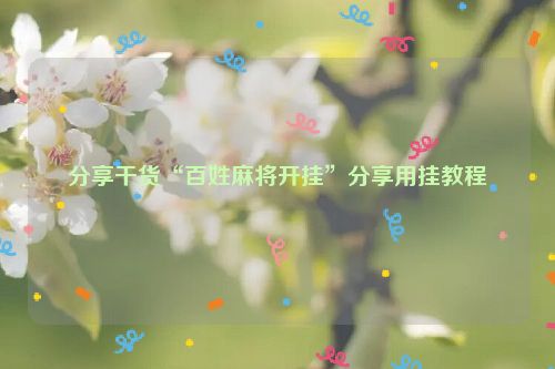 分享干货“百姓麻将开挂”分享用挂教程