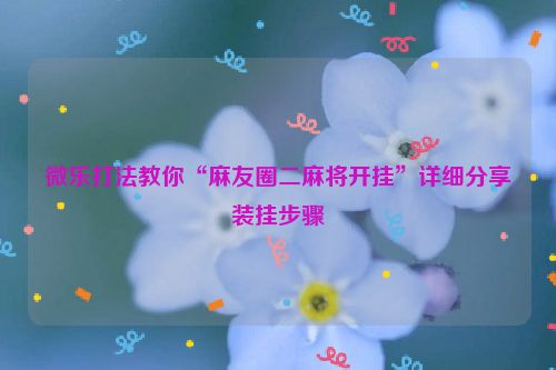 微乐打法教你“麻友圈二麻将开挂”详细分享装挂步骤