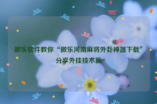 微乐软件教你“微乐河南麻将外卦神器下载”分享外挂技术赢