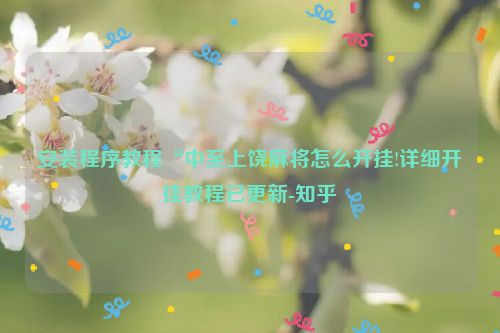 安装程序教程“中至上饶麻将怎么开挂!详细开挂教程已更新-知乎