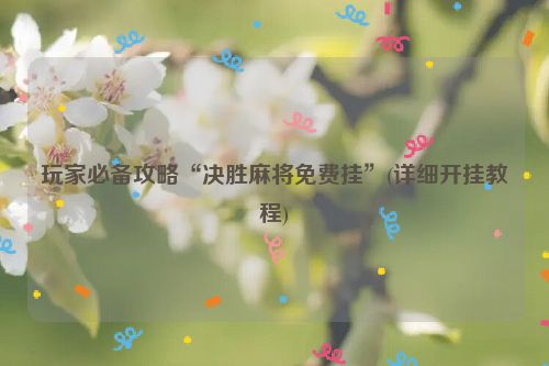 玩家必备攻略“决胜麻将免费挂”(详细开挂教程)