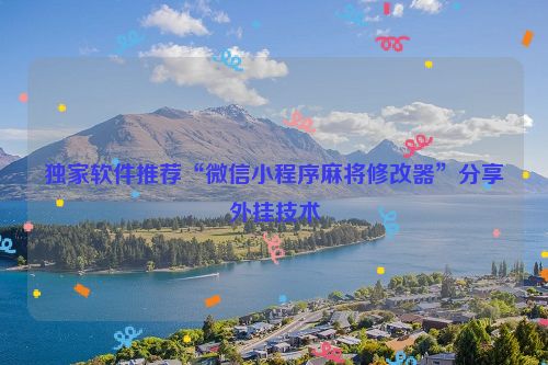 独家软件推荐“微信小程序麻将修改器”分享外挂技术