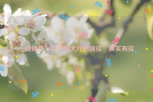 一键操作”新九游大厅透视挂”其实有挂