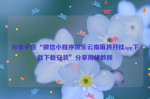 分享干货“微信小程序微乐云南麻将开挂app下载下载安装”分享用挂教程