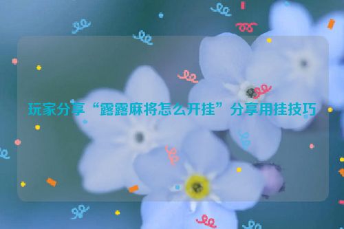 玩家分享“露露麻将怎么开挂”分享用挂技巧