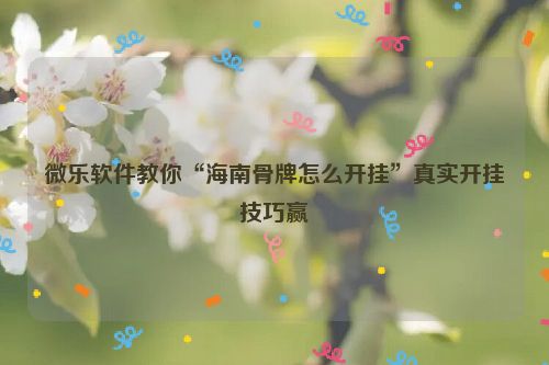 微乐软件教你“海南骨牌怎么开挂”真实开挂技巧赢