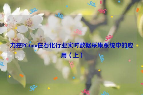 力控PCAuto在石化行业实时数据采集系统中的应用（上）