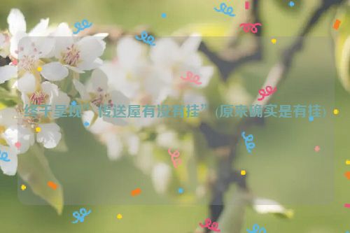 终于呈现”传送屋有没有挂”(原来确实是有挂)