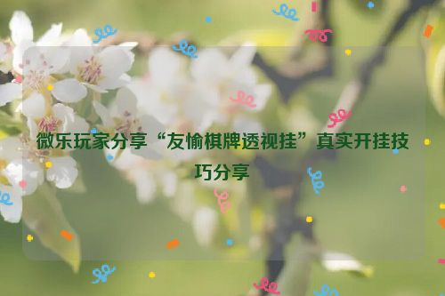 微乐玩家分享“友愉棋牌透视挂”真实开挂技巧分享
