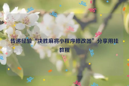 传递经验“决胜麻将小程序修改器”分享用挂教程
