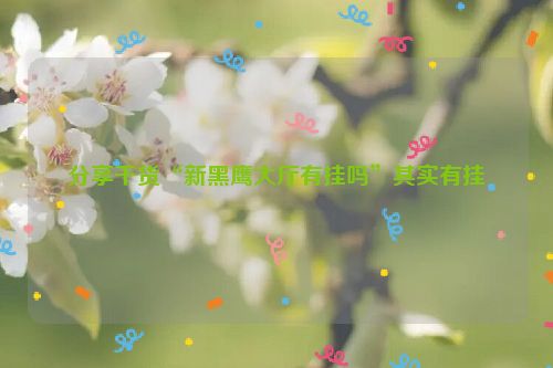 分享干货“新黑鹰大厅有挂吗”其实有挂