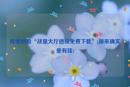 传递经验“战皇大厅透视免费下载”(原来确实是有挂)