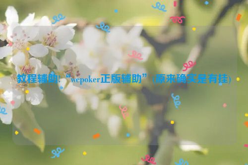 教程辅助!“wepoker正版辅助”(原来确实是有挂)