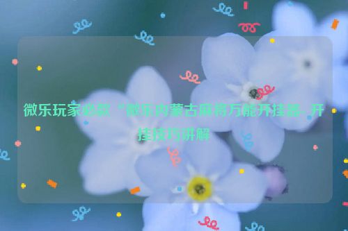 微乐玩家必款“微乐内蒙古麻将万能开挂器- 开挂技巧讲解