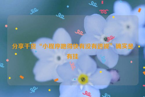 分享干货“小程序跑得快有没有透视”确实是有挂