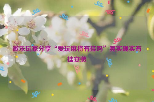 微乐玩家分享“爱玩麻将有挂吗”其实确实有挂安装
