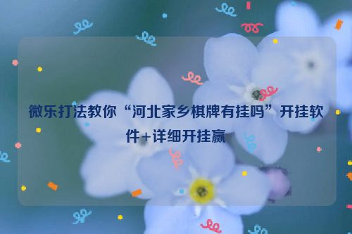 微乐打法教你“河北家乡棋牌有挂吗”开挂软件+详细开挂赢