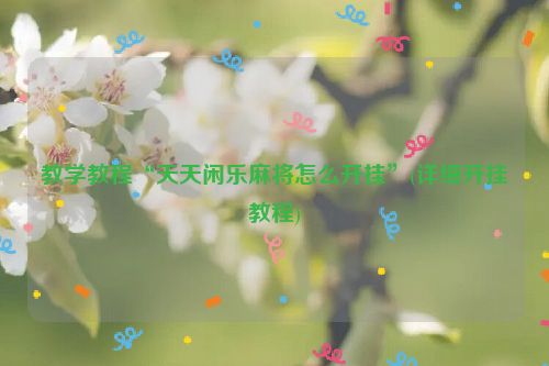 教学教程“天天闲乐麻将怎么开挂”(详细开挂教程)