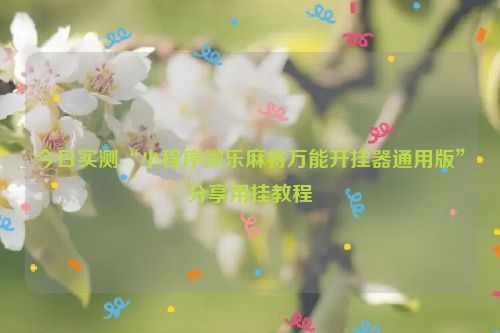今日实测“小程序微乐麻将万能开挂器通用版”分享用挂教程