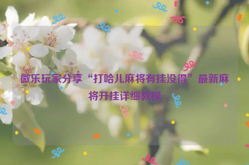 微乐玩家分享“打哈儿麻将有挂没得”最新麻将开挂详细教程