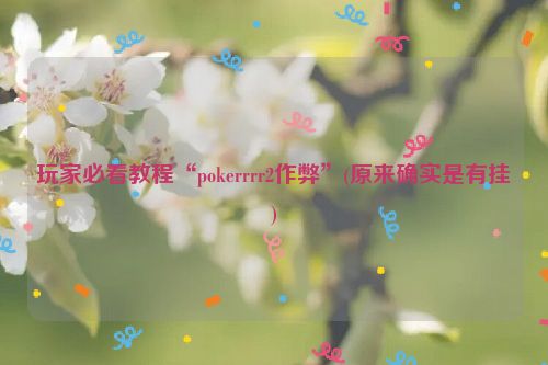 玩家必看教程“pokerrrr2作弊”(原来确实是有挂)