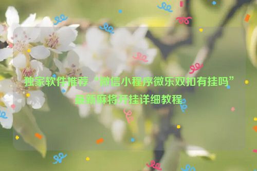 独家软件推荐“微信小程序微乐双扣有挂吗”最新麻将开挂详细教程