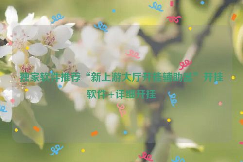 独家软件推荐“新上游大厅开挂辅助器”开挂软件+详细开挂