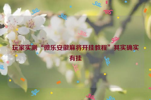 玩家实测“微乐安徽麻将开挂教程”其实确实有挂