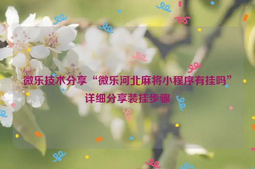 微乐技术分享“微乐河北麻将小程序有挂吗”详细分享装挂步骤