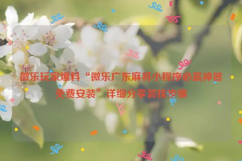 微乐玩家爆料“微乐广东麻将小程序必赢神器免费安装”详细分享装挂步骤