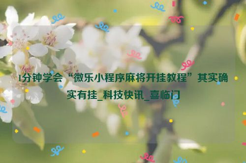 1分钟学会“微乐小程序麻将开挂教程”其实确实有挂_科技快讯_喜临门