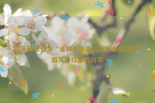 微乐玩家分享“雀神广东麻将有挂是真的吗”真实开挂技巧分享