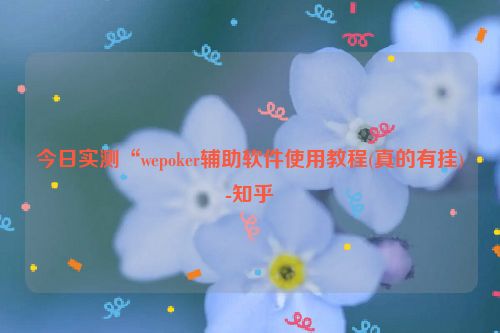 今日实测“wepoker辅助软件使用教程(真的有挂)-知乎