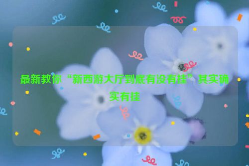 最新教你“新西游大厅到底有没有挂”其实确实有挂