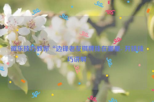 微乐技巧教你“边锋老友棋牌挂在哪里- 开挂技巧讲解