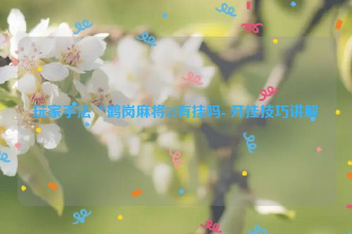 玩家手法“鹤岗麻将52有挂吗- 开挂技巧讲解