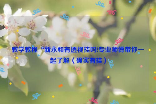 教学教程“新永和有透视挂吗!专业师傅带你一起了解（确实有挂）