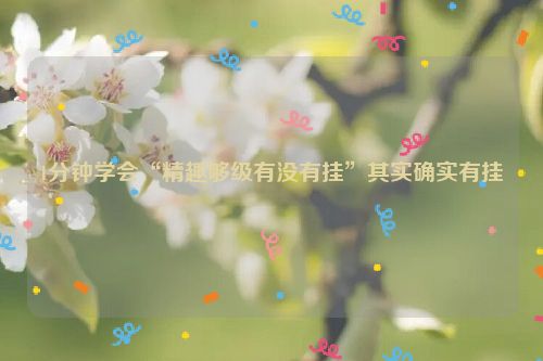 1分钟学会“精趣够级有没有挂”其实确实有挂