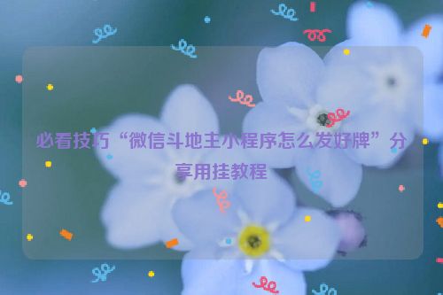 必看技巧“微信斗地主小程序怎么发好牌”分享用挂教程