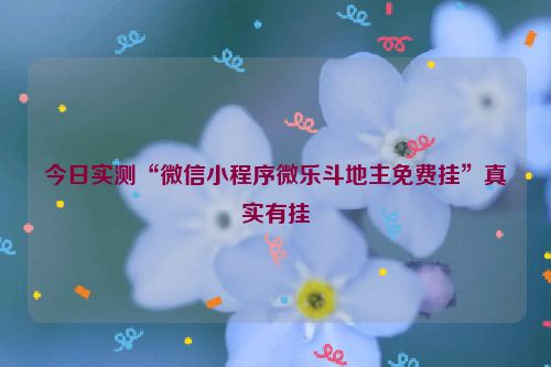 今日实测“微信小程序微乐斗地主免费挂”真实有挂