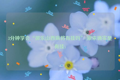 3分钟学会“微乐山西麻将有挂吗”(原来确实是有挂)